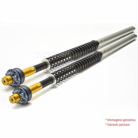 Andreani Misano adjustable hydraulic fork cartridges for Showa vers. low for BMW R nineT Scrambler - Urban/GS 2017