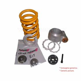 OEM Spare Parts Kit for Shock Absorbers Ohlins for Ducati 1098 2007