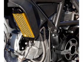 Defensa De Radiador De Aceite Oro Ducabike DBK Para Ducati Scrambler Classic 2015 > 2018