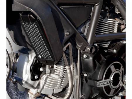 GR03D Ölkühlerschutz Schwarz Ducabike DBK Fur Ducati Scrambler Mach 2.0 2017 > 2019