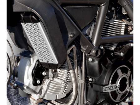 GR03E Defensa De Radiador De Aceite Plata Ducabike DBK Para Ducati Scrambler Mach 2.0 2017 > 2019
