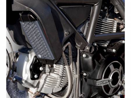 GR03F Protezione Radiatore Olio Fume  Ducabike DBK Per Ducati Scrambler Classic 2015 > 2018