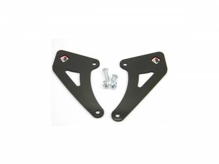 RPPC04 Carbon Guards Panigale  Ducabike DBK For Ducati Hypermotard 1100 2007 > 2009