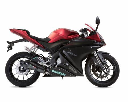 Y.169.GPAN.PO Complete Exhaust GPR GPE ANN.POPPY Approved YAMAHA YZF-R 125 i.e. 2014 > 2016