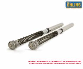 Ohlins Cartridge Gabel Kit NIX 30 Honda Cbr 1000 Rr/r 2020 > 2023 FGK 241