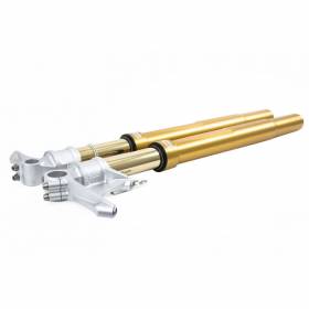 Bmw Hp 4 2013 > 2014 Ohlins Forcella Anteriore Fgrt 200 Fgrt 202