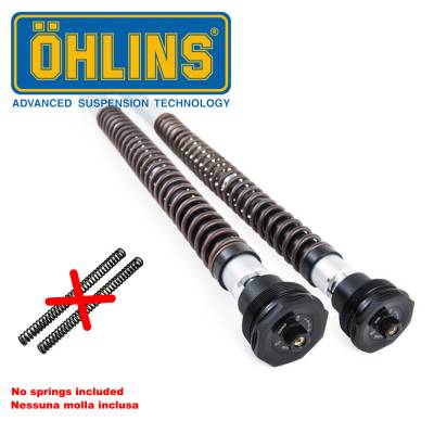 Ohlins ninja deals 650